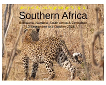 AA01_Title