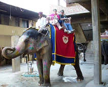 B13_Moving_by_Elephant_56 Sylvia and Jerry enjoy their ride on elephant number 54 in Jaipur. The ride was slow and quite jarring.