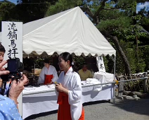 Joyce takes a picture of a Miko, or