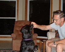 Sadie was always good at tricks. Here she begs for a treat. Age 15 months. Sadie was always good at tricks. Here she begs for a treat. Age 15 months.