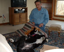 Sadie never has been a modest dog. She earned her nickname: 