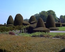 Chirk_Castle_Topiary