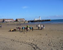 Donkeys_at_Scarborough