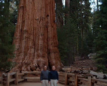 General Sherman giant sequoia tree. November 2006 trip to California with Al & Sheila. General Sherman is a giant sequoia tree located in the Giant Forest of Sequoia National Park. By volume, it...