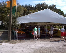FruitStand TOSHIBA Exif JPEG