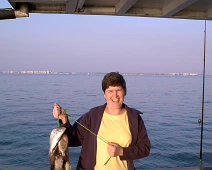 SylvFish2 TOSHIBA Exif JPEG