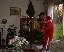 Jerry-BadLeg_aXmasTree.jpg